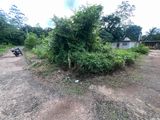 අගනා ඉඩම් කොටසක් Baddegama