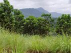 Valuable land for sale in Gampola.