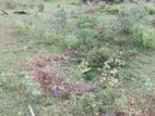 Land for Sale - Kilinochi
