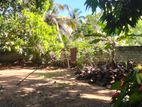 Agricultural Investment Property for Sale – Thanamalwila Area