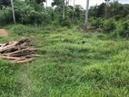 Agricultural Land for Sale at Pannala