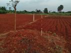Agricultural Land for Sale in Atchuvely