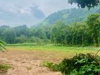 Agricultural Land for Sale in Embilipitiya