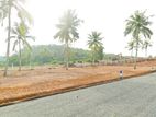 Agricultural Land for Sale in Hikkaduwa 10p