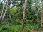 Agricultural Land for Sale in Kalleliya