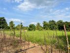 Agricultural Land for Sale in Waulabe