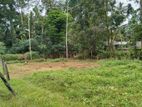 Agricultural Land for Sale – Wathumulla