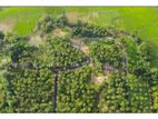 Agricultural Lands for sale in Meegoda