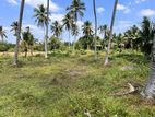 Agricultural Commercial Land for Sale Pannala