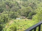 Eheliyagoda Land with House for Sale