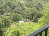 Eheliyagoda Land with House for Sale