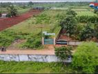 Agriculture Farm Land for Sale Jaffna