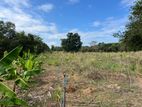 Agriculture Land for Sale Digampathaha