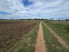 Agriculture Land for Sale Batticaloa
