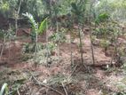 Land for Sale in Akurana