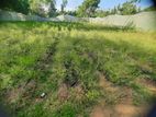 Agriculture Land for Sale in Embilipitiya