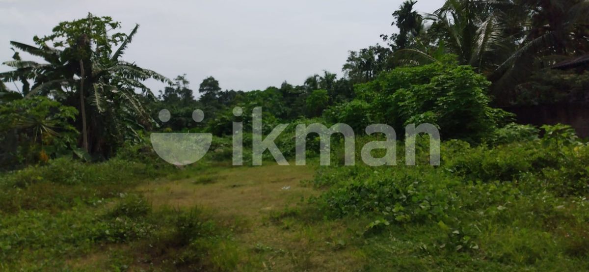 Agriculture Land for Sale in Kalutara (C72271) ikman.lk
