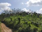 Agriculture Land for Sale in Matara (C7-2283)