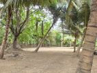 Agriculture Land Puthukkudiyiruppu