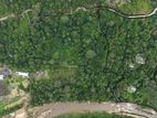 Agriculture Land for Sale Punduluoya