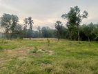 Land for Sale Pankulawa