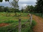 Agriculture Land Sale in Godigamuwa