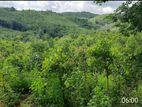 Ahaliyagoda 14.5 Acces Land for Sale