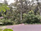 AHANGAMA : 144 PERCHES PRIME TOURISM LAND FOR SALE