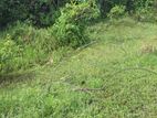 Ahangama : 281P Land for sale in Kathaluwa