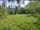 AHANGAMA : 44 PERCHES PREMIUM SEASIDE LAND FOR SALE