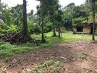 Ahangama : 58P Land for Sale in Sumanarama Road