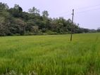 Ahangama Hillside Land for Sale