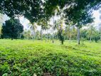 Ahangama Imaduwa Land for Sale