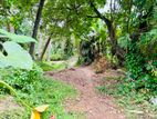 අහංගම කන්දේ පිහිටි සුවිශේෂී ඉඩමක් විකිණීමට