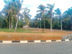 අහංගම පංචාලිය අගනා බිම් කොටස් කිහිපයක්