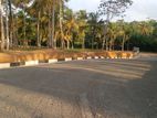 අහංගම පංචාලිය පාරට මුහුණලා බිම් කොටස්