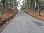 අහ‍ංගම සංචාරක කලාපයෙන් බිම් කොටස්
