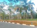 අහ‍ංගම සංචාරක කලාපයෙන් බිම් කොටස්