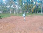අහංගම සංචාරක කලාපයෙන් බිම් කොටස් විකිණීමට