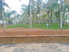 අහංගම සංචාරක කලාපයෙන් බිම් කොටස් විකිණීමට