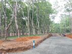 අහ‍ංගම සංචාරක කලාපයෙන් බිම් කොටස් විකිණීමට