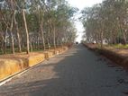 අහංගම සංචාරක කලාපයෙන් ඉඩමක්