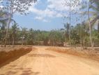 අහංගම සංචාරක කලාපයට ආසන්නව