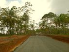 අහංගම සංචාරක කලාපයට ආසන්නව
