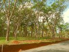අහංගම සංචාරක කලාපයට ආසන්නව
