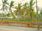 අහංගම සංචාරක කලාපයට ආසන්නව