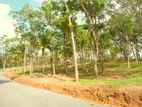 අහංගම සංචාරක කලාපයට ආසන්නව