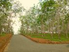 අහංගම සංචාරක කලාපයට ආසන්නව