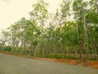 අහංගම සංචාරක කලාපයට ආසන්නව