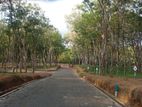 අහංගම සංචාරක කලාපයට ආසන්නව